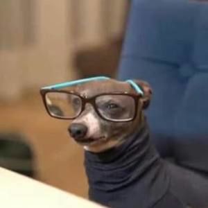 Meet your Posher, Brook